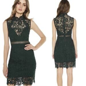 Bardot Paris Lace Dress in Forest Green